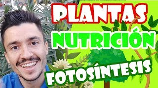 La nutrición de las plantas para niños [upl. by Glynis324]