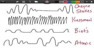 How to Learn Circular Breathing [upl. by Deach]