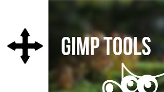 GIMP  The Move Tool [upl. by Googins]