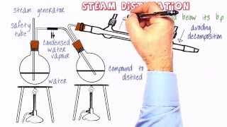 Organic Practical Setup 10 Steam distillation [upl. by Killie]