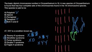 Trisomy X Klinefelter syndrome Turner syndrome Double Y and Fragile X syndrome explained [upl. by Zirkle]