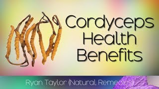 Cordyceps Benefits for Health [upl. by Joice]