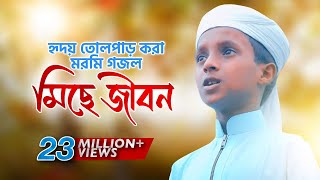 কোরআন নিয়ে জনপ্রিয় সেই নাশিদ  قران  Kalarab  Abu Rayhan amp Husain Adnan [upl. by Lose802]