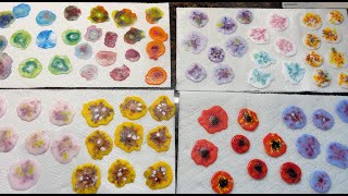 Creating Fused Glass Flower Elements [upl. by Radec]