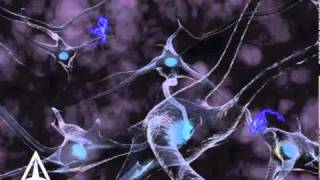 How Neurotransmission amp brain signals work  3D animation [upl. by Blanca]