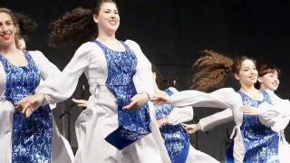 HAVA NAGILA Jewish Punjabi Israel India Dance  Downtown Bhangra Vancouver [upl. by Narra]