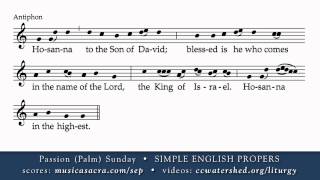 Hosanna to the Son of David ROMAN MISSAL VERSION [upl. by Hametaf]