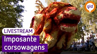 TERUGKIJKEN  Bloemencorso Lichtenvoorde 2023 [upl. by Elbertine]