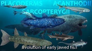 Evolution of Placoderms Acanthods and Sarcopterygii [upl. by Brinn]