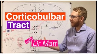 Corticobulbar Tract [upl. by Nnod]