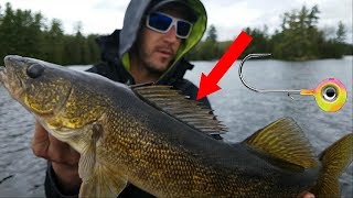 The ONLY Technique You Need  Ontario Walleye Fishing [upl. by Hound]