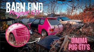 The BIGGEST Peugeot GTI Graveyard In EUROPE BARNFIND Dimma Cars  IMSTOKZE [upl. by Hax]