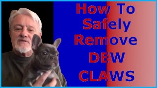 DIY Removing Dew Claw From You DogPuppy [upl. by Enaywd]