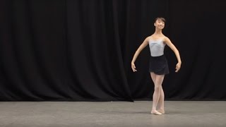 Insight Ballet Glossary  Petit allegro [upl. by Durstin888]