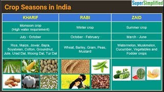 Cropping Seasons In India  Kharif Rabi Zaid [upl. by Berky]