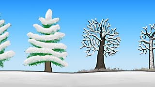 How do Trees Survive Winter [upl. by Washington501]