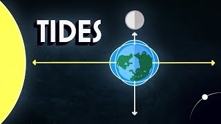 Neil deGrasse Tyson Explains the Tides [upl. by Geri]