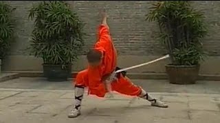 Shaolin Kung Fu weapon breezing sword [upl. by Afinom]