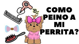 Como peinar a mi Perrita  Tips by Natalia Ospina [upl. by Jeffers]