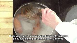 Homard  cuisson [upl. by Gide]