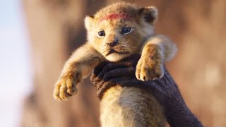 Baby Simba Scene  THE LION KING  Movie Scene 2019 [upl. by Damicke]