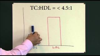 Physiology of Lipoproteins Cholesterol [upl. by Inttirb]