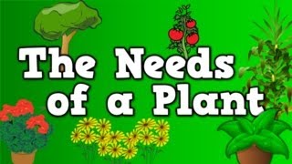 The Needs of a Plant song for kids about 5 things plants need to live [upl. by Aggarwal]