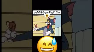 tom amp jerry අන්තිම ටික  ඌ දින්නා එහෙනම් 😓😓 [upl. by Leavy]