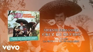 Vicente Fernández  Cruz de Olvido Cover Audio [upl. by Ajuna776]