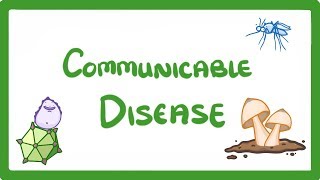 GCSE Biology  Communicable Disease 34 [upl. by Ameline]