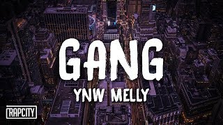 YNW Melly  Gang Lyrics [upl. by Wichern473]