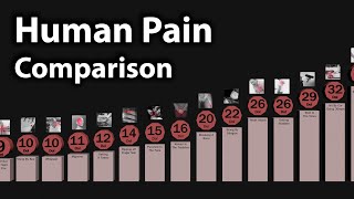 Comparison Human Pain [upl. by Seaton]