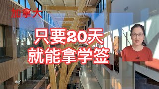 留学移民加拿大学签受理只需20天，哪些国家可以享受学签快速申请通道？需要符合哪些条件？为什么留学加拿大省钱又省时？分析几个实例。Student Direct Stream [upl. by Yendyc274]