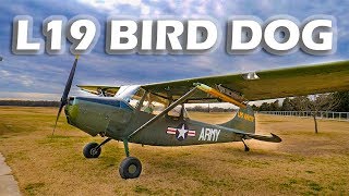 L19 Bird Dog Cessna 170 Variant  Flight amp Interview [upl. by Atteynad565]