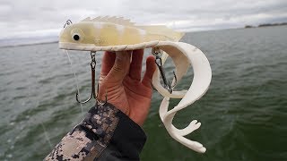 Minnesota Fall Musky Fishing  Leech Lake [upl. by Eiznikcm58]