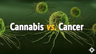 Medical Marijuana and Parkinsons Part 2 of 3 [upl. by Barnebas]