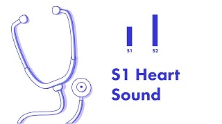 S1 Heart Sound  Learn How to Auscultate Part 8 [upl. by Llenrup]