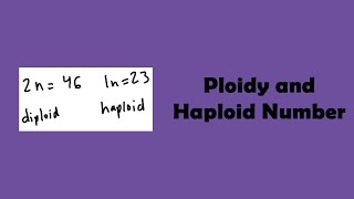 Ploidy and Haploid Number [upl. by Cele]