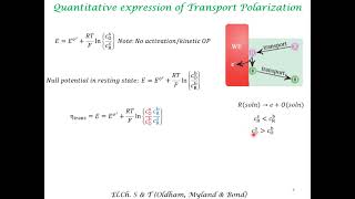 ConcentrationTransportPolarizationOverpotential [upl. by Erny900]