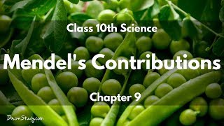 Heredity and Evolution  Mendels Contributions  CBSE Class 10 X Science Biology  Toppr Study [upl. by O'Connell]