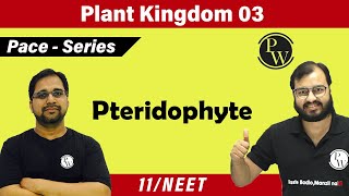 Plant Kingdom 03  Pteridophyte  Class 11  NEET  PACE SERIES [upl. by Rye]