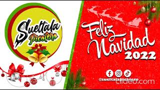 Feliz Navidad 2022Sueltala Picotero [upl. by Tayler]