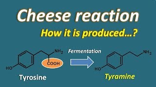 Cheese reaction  symptoms and interactions [upl. by Nicol]