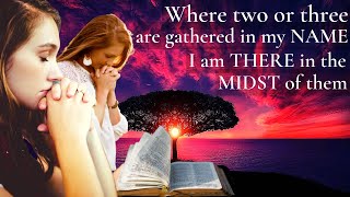 Matthew 18  Part 3  Where two or three are gathered in my name there am I in the midst of them [upl. by Nohj]