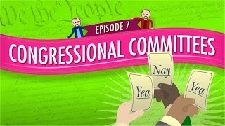 Congressional Committees Crash Course Government and Politics 7 [upl. by Ateiluj141]