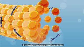 What is progressive supranuclear palsy PSP [upl. by Nava588]