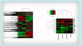 Heatmaps course  Introduction [upl. by Seedman]