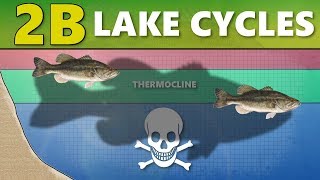 INTERMEDIATE GUIDE TO BASS FISHING 2B  Lake Cycles ThermoclineTurnover [upl. by Linzer]