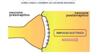 ACCA Software  EdiLusAC Progettazione e Calcolo delle Strutture in Acciaio [upl. by Ebba]