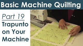 Trapunto on Your Home Sewing Machine Machine Quilting [upl. by Cosma230]